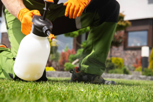 Professional Pest Control in Short Hills, NJ