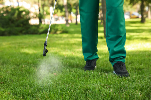 Wasp Removal Services in Short Hills, NJ