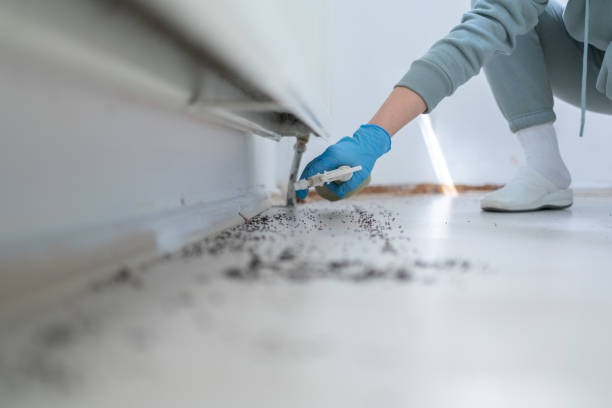 Reliable Short Hills, NJ Pest Control Solutions